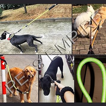 Pets Empire Pet Dog Walking and Training Rope Lead Leash with Shock Spring for Big Heavy Breeds Dogs (Colour May Vary)