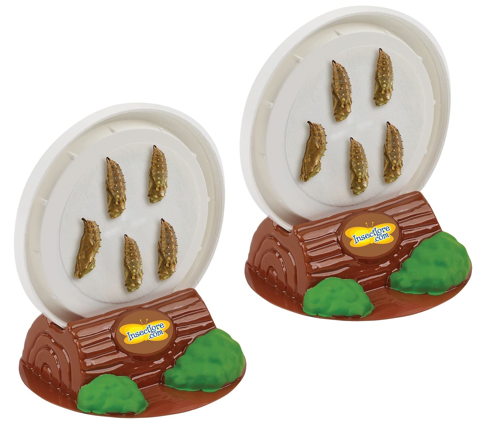 Insect Lore Butterfly Pavilion with Two Live Cups of Caterpillars | 2ft Tall Habitat, STEM Butterfly Journal, 10 Live Baby Caterpillars | Life Science & STEM Education | Painted Lady Butterfly Kit