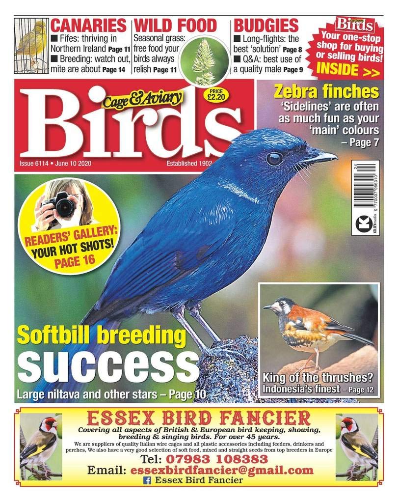 cage and aviary bird suppliers