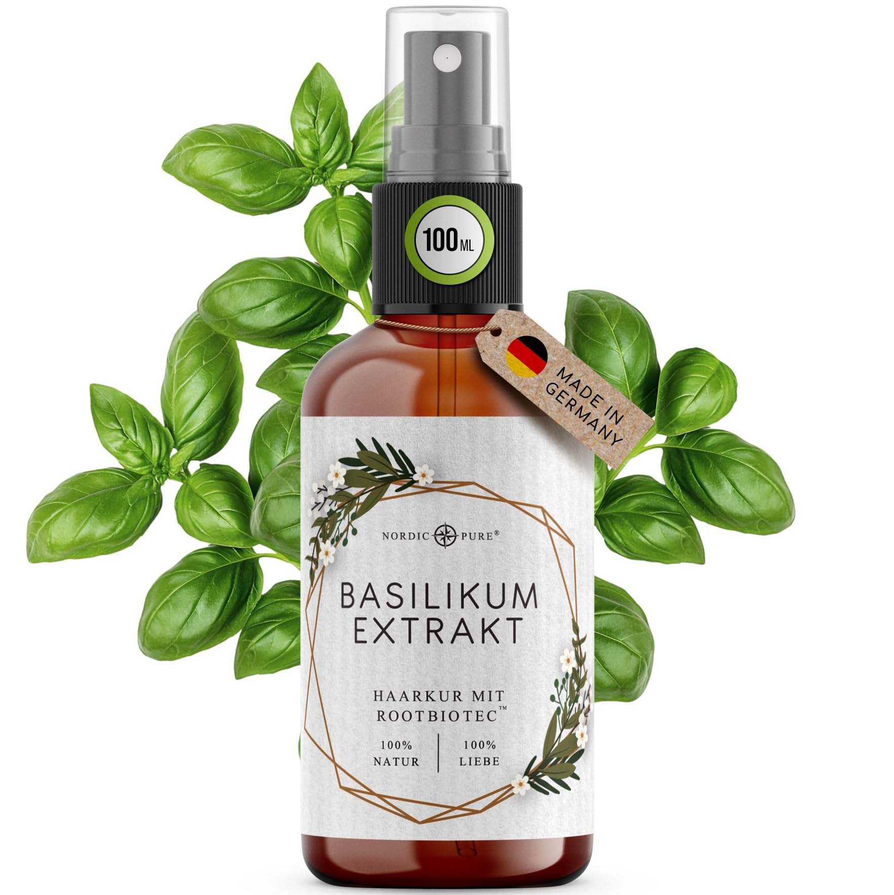 Basil Extract Hair Treatment by Nordic Pure | For Care of Thin, Dry & Brittle Hair | Can Prevent Hair Loss | 100 ml