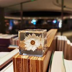 Bon Cube Real Flower Desk Accessory Mini Resin Cube