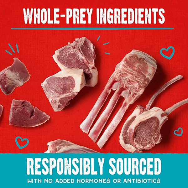 STELLA & CHEWY’S FREEZE-DRIED RAW COATED DOG BISCUITS – GRASS-FED LAMB RECIPE – PROTEIN RICH, GRAIN FREE DOG & PUPPY TREAT – GREAT SNACK FOR TRAINING & REWARDING – 9 OZ BAG