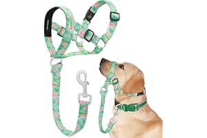 Ezierfy Dog Head Collar, Printed No-Pull Headcollar, Adjustable Dog Head Halter Gentle Lead with Safety Link, 3 Colors Muzzle Leash for Small Medium Large X-Large Dogs Easy Walks(XLarge, Peony)