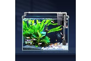 LAQUAL Aquarium Starter Kit (3 Gal), Rimless Glass Low Iron Fish Tank, Ultra Clear Fish Tank with Filter and Light, Small Beta Fish Tank & Filter with Surface Skimmer & 3-Mode LED Light