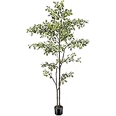 PHYTREE Black Olive Tree 6ft, Artificial Shady Lady Tree with Natural Trunk and Realistic Leaves, 6 Feet Faux Olive Plants for Home Office Indoor Decor Pack of 1