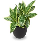 DILATATA Fake Snake Plant 11 Inch Small Potted Good Luck Plant Artificial Snake Plants Faux Mother in Law Tongue Sansevieria