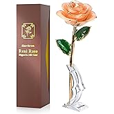 Sinvitron Gold Dipped Infinity Rose Forever Flower Decor, Resin Preserved Real Rose Birthday Gift for Women, Anniversary Present for Mom (Pink)