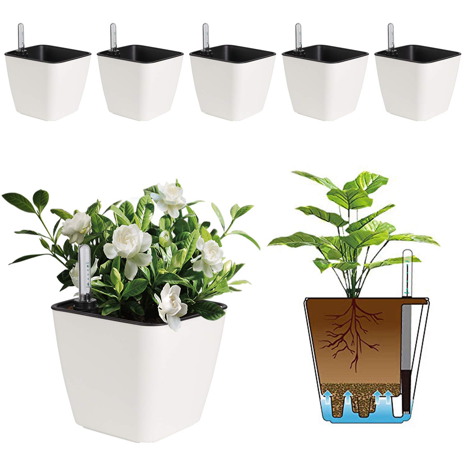 Photo 1 of T4U 5.5 Inch Self Watering Plastic Planter with Water Level Indicator Pack of 6 - Matte White, Modern Decorative Planter Flower Pot for House Plants, Flowers, Herbs, African Violets,