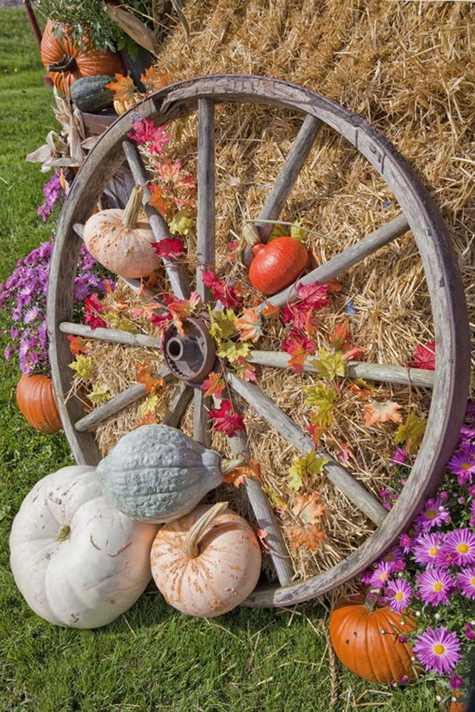 Yelewen 5x7ft Autumn Farm Halloween Pumpkins Old Wagon Wheel Silk Photography Backdrops Indoor Studio Customized Digital Printed Backgrounds Photo Props
