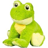 Record Your Own Plush 16 inch Frog - Ready To Love In A Few Easy Steps