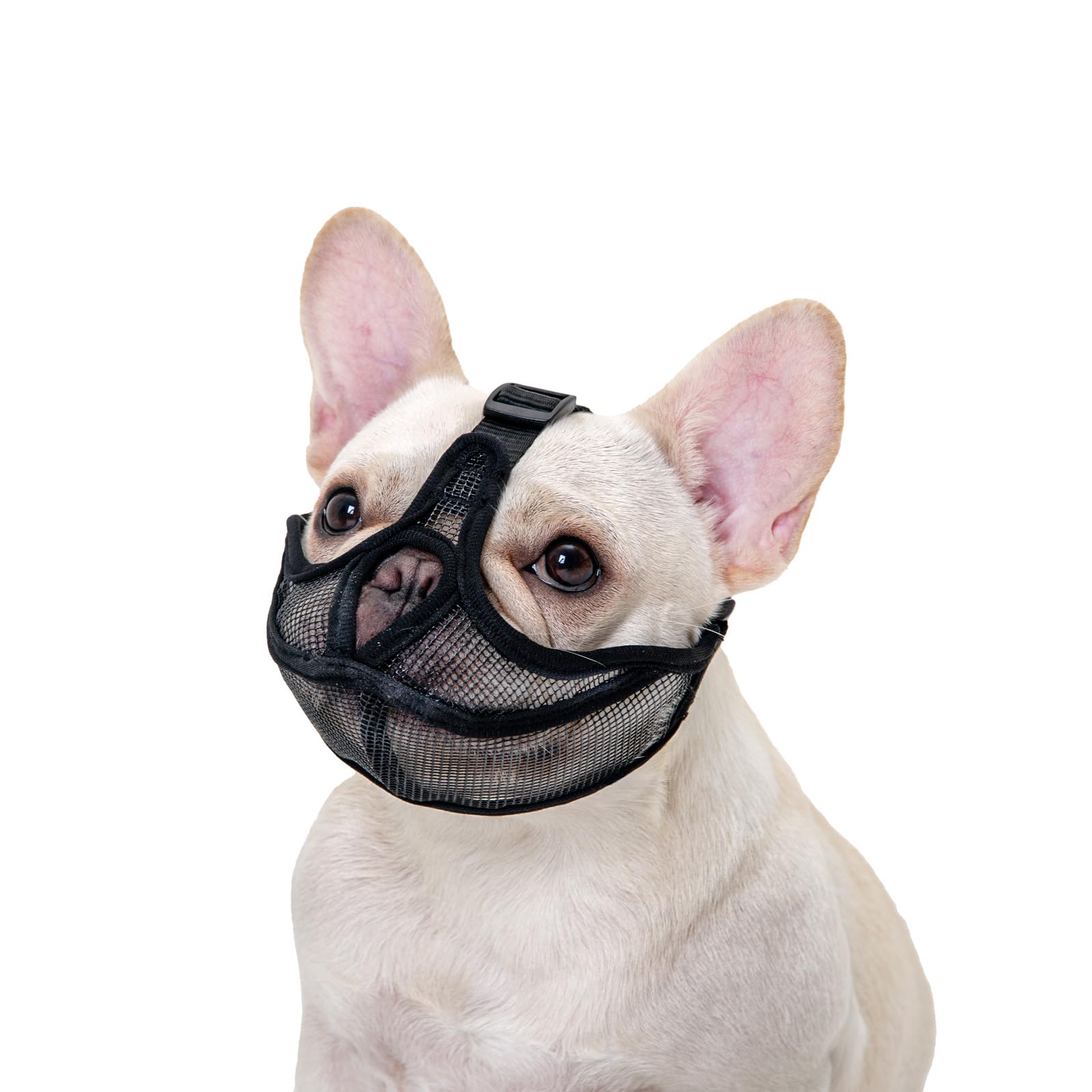 Photo 1 of Ohcozzy Short Snout Dog Muzzle, Won’t Cover Forehead Bulldog Muzzle Adjustable Breathe Mesh, Anti Bitting Chewing Barking?S,Black?