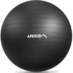 APEXUP Yoga Ball 65cm Anti-Slip