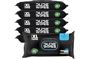 DUDE Wipes Flushable Wipes Dispenser (6 Packs, 48 Wipes Each), Unscented Wet Wipes with Vitamin-E & Aloe for at-Home Use, Sep
