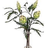 IPOPU 2PCS Green Artificial Protea Cynaroides for Flower Arrangements 31" Long Stem Realistic The King Protea Fake Plant Flowe for Home Wedding Party Vase Table Centerpieces Decoration(Green)