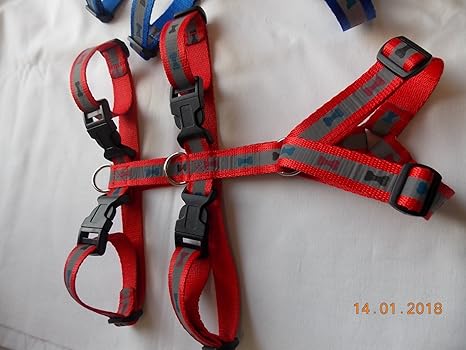 Eve Sicherheitsgeschirr, Panikgeschirr, Pflegestellengeschirr, Rot oder Blau, Gr. XS
