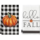 Artoid Mode Buffalo Plaid Pumpkin Hello Fall Kitchen Towels Dish Towels, 18x26 Inch Seasonal Decoration Hand Towels Set of 2