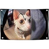 3x5 Feet Cat with Painted Eyebrows Tapestry Single Sided Flag with Four Brass Grommets - Polyester Funny Cats Outdoor or Indoor Flag - Funny Cats Poster in Fish Eye - Animals Tapestry For Classroom