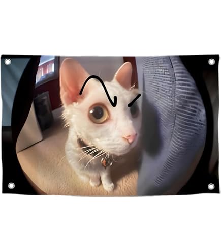 Katzen-Meme-Flagge 90x150 Cm – „When Your Friend Takes Their Glasses Off“, Polyester, Mit Ösen