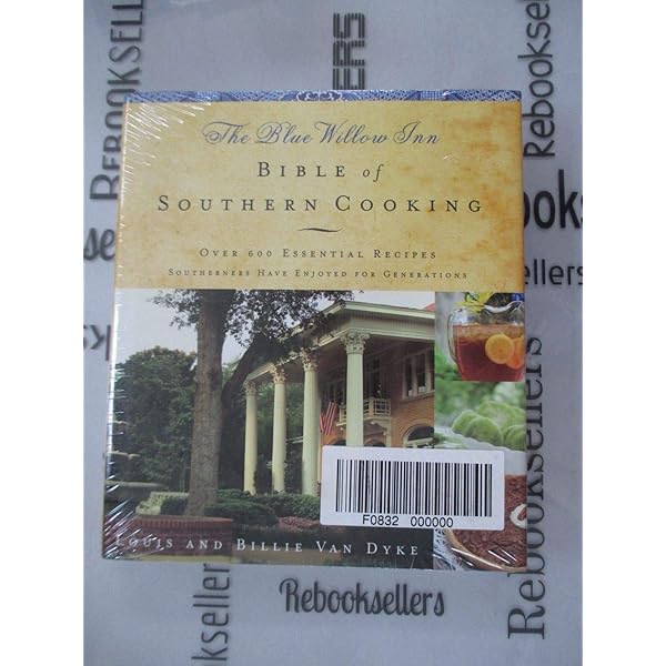 The Other Side of Truth (Rebel Voices: Puffin Classics