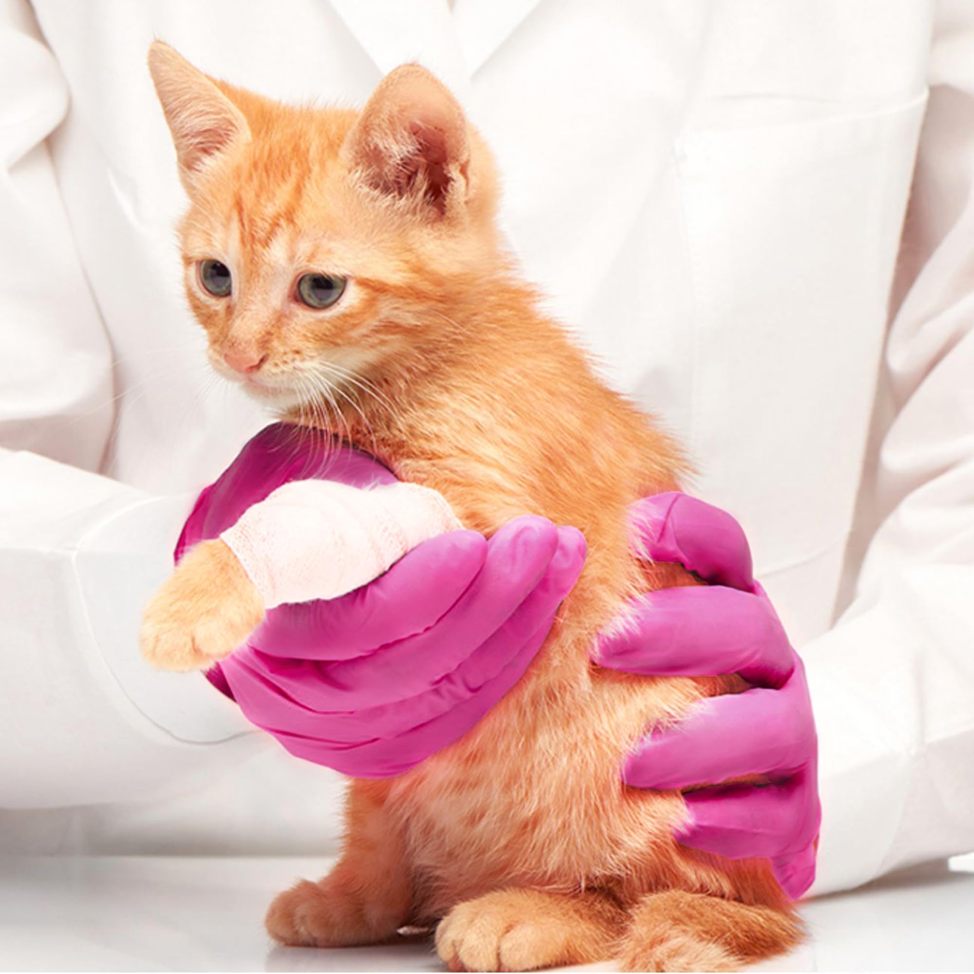 SwiftGrip Powder-Free Nitrile Gloves, 3-mil, Disposable Nitrile Gloves, Latex-Free, Powder-Free - Pink/Fuchsia