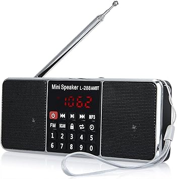 am fm radio with wireless speakers