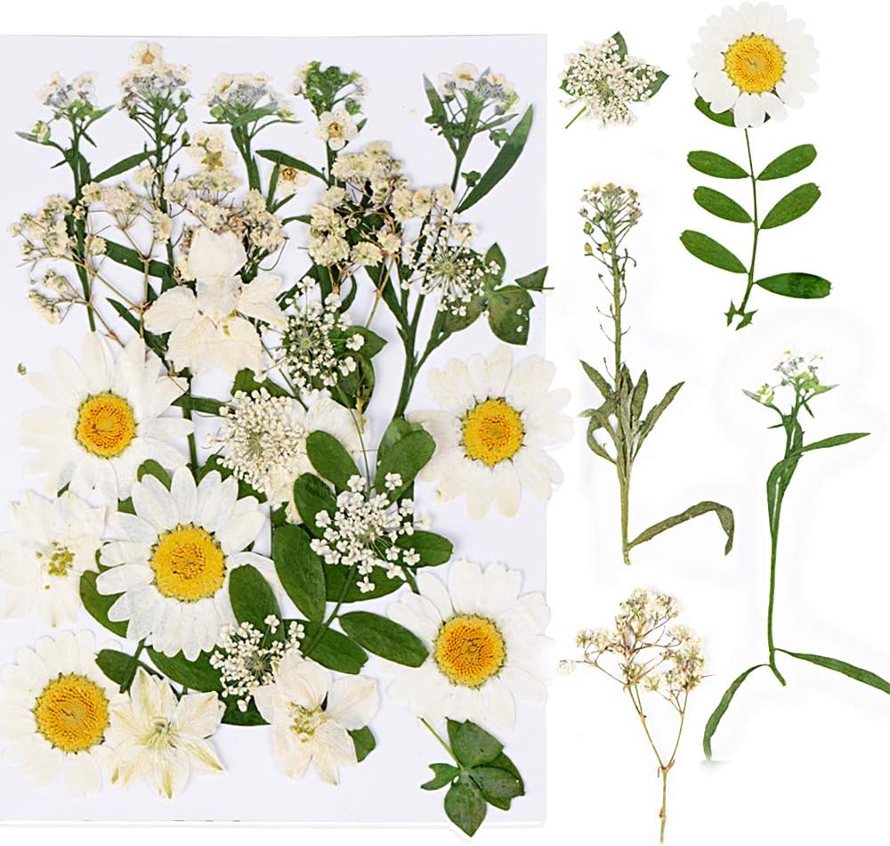 VINFUTUR 36Pcs Pressed Flowers Natural Mixed Dried Flowers Leaves DIY Floral Art Craft Wedding Home Party Decorations - White Series