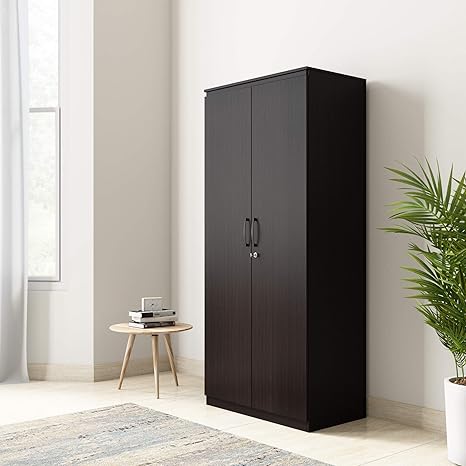 Amazon Brand Solimo Vega Engineered Wood 2 Door Wardrobe