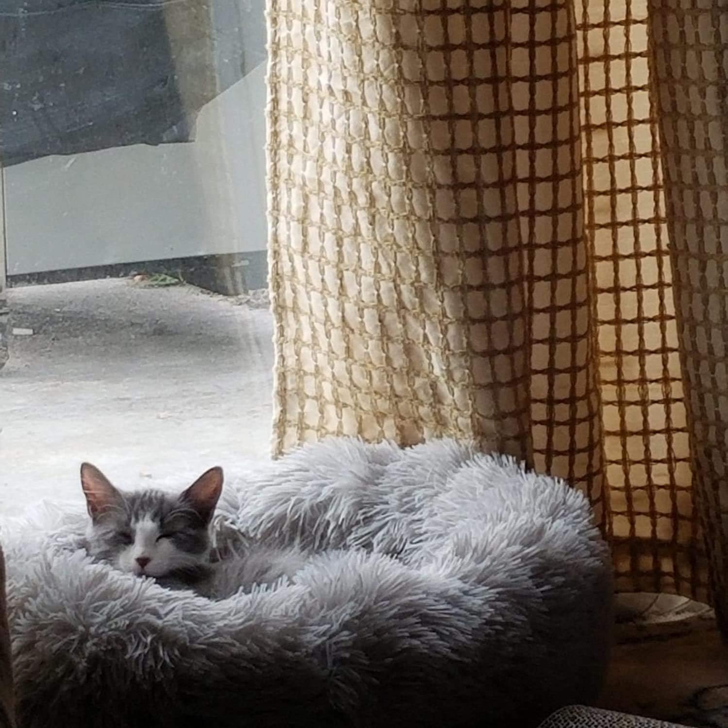 nononfish Puppy Bed for Small Medium Dog Soothing Dog Bed Calming, Anti-Anxiety Fluffy Deep Sleep Plush Bed with Bamboo Dog Cooling Mat Available : Pet Supplies