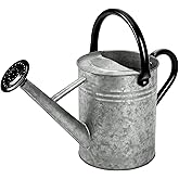 yourjoy Metal Watering Can, One Gallon Watering Cans Stainless Steel for Outdoor Indoor Garden Plants Watering (Silver 1 Gallon)