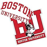 Desert Cactus Boston University Sticker Boston University Terriers Vinyl Decal Laptop Water Bottle Car Scrapbook Sheet (4 Inch Set V1)