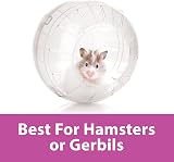 Kaytee Run About Ball Clear 17.8 cm Diameter for Hamsters Gerbils view 4