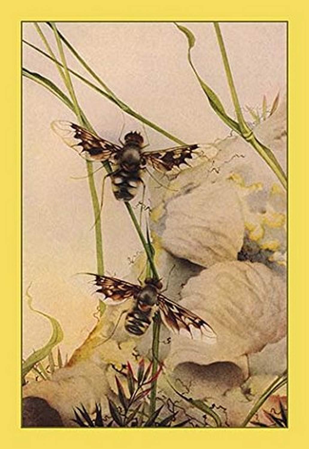 Symptoms of anthrax in animals image