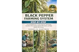 Black Pepper Farming System: Step-by-Step Vine Establishment, Living Supports, Soil Health, Nutrition, Pest Control, Disease 