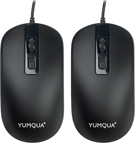YUMQUA USB Wired Mouse 2 Pack, Slim Optical Silent Computer Mouse, Home