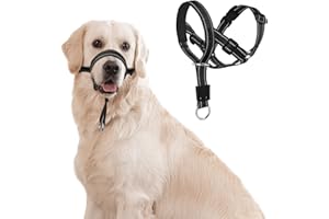 DOMIGLOW No-Pull Dog Headcollar - Reflective Head Halter Collar for Dogs, Padded Dog Head Collar to Stop Heavy Pulling, Anti-Pull Muzzle Leash (Black, Medium)