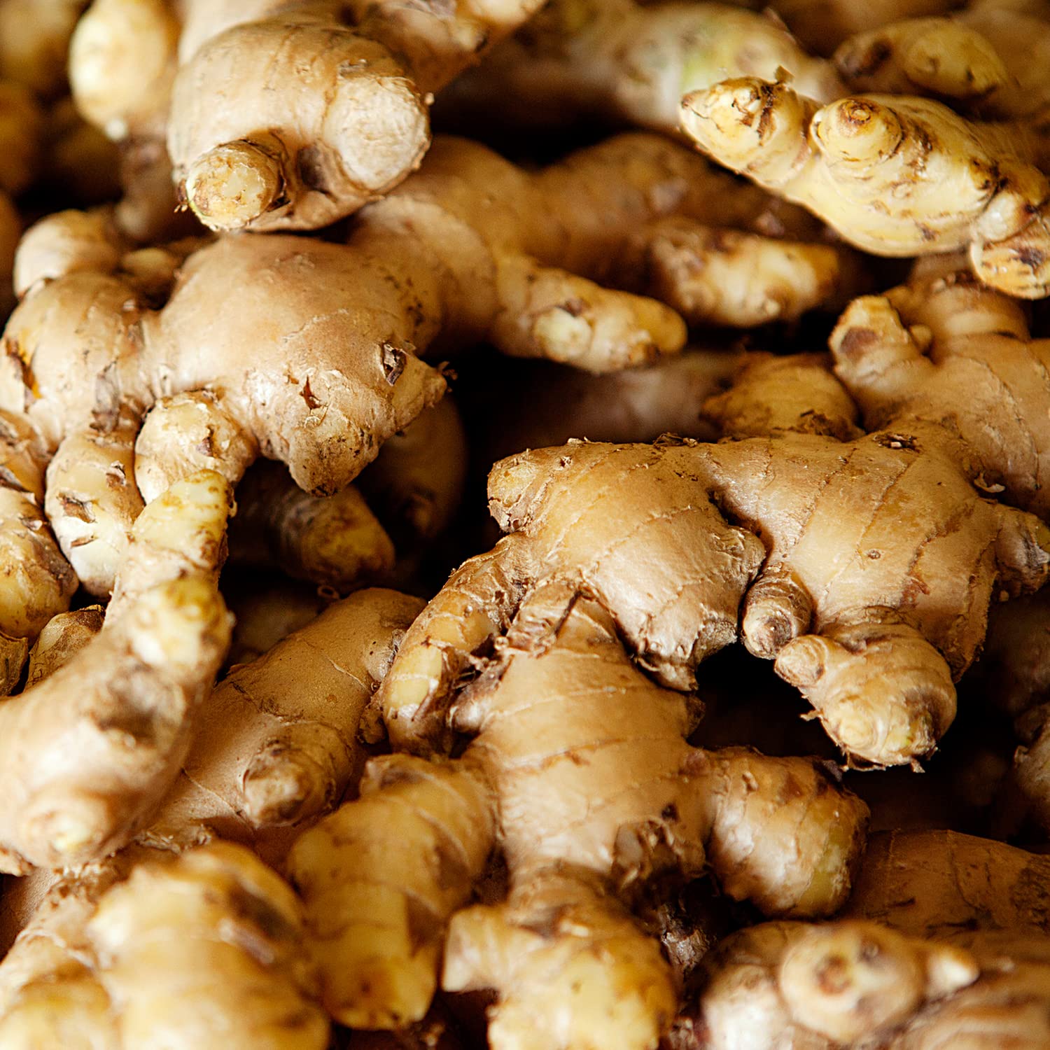 WELEDA Bio Festes Duschgel Ingwer & Petitgrain – feste Naturkosmetik Dusche mit Bio Sheabutter & erfrischendem Duft. Natürliche Shower Bar Seife für Männer & Frauen. 100% Vegan & Plastikfrei (1x 75g) 5