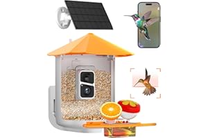 HIVISUALS Smart Bird Feeder with Camera, Solar Powered Bird Feeder with AI Identify Bird Species, 1080P HD & 160° Wide-Angle, Auto Capture Bird& Motion Detection for Watching, Idea Present for Bird Lovers