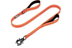 GEIT 4/5/6FT Heavy Duty Dog Leash, 2 Handles Reflective Rope Leashes, Walking Lead with Quick Release/Locking Tactical Frog Clip for Small Medium and Large Dogs, Orange