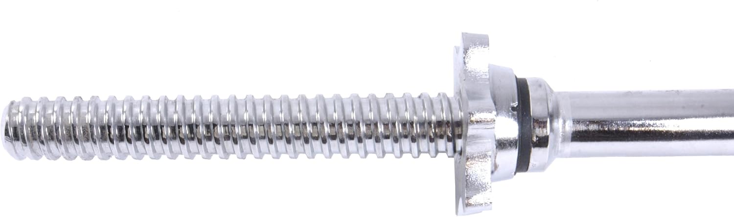CAP Barbell Standard 1-inch Threaded EZ Curl Bar, Standard : Triceps Bar : Sports & Outdoors