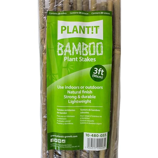 PLANT IT 10-480-055 Estacas de bambú, Paquete de 25 Unidades ...