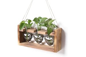 RCXsigns Plant Terrarium Unique Birthday Gift for Women Wall Planters for Indoor Hydroponic Plant Propagation Stations Heart Shaped Glass Vase with Wooden Stand