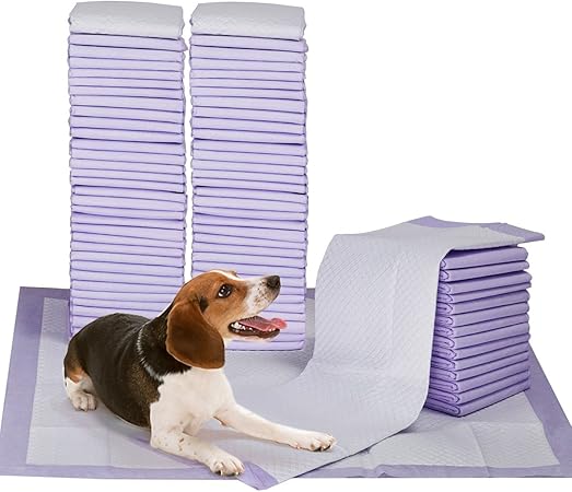 dog pee pads amazon