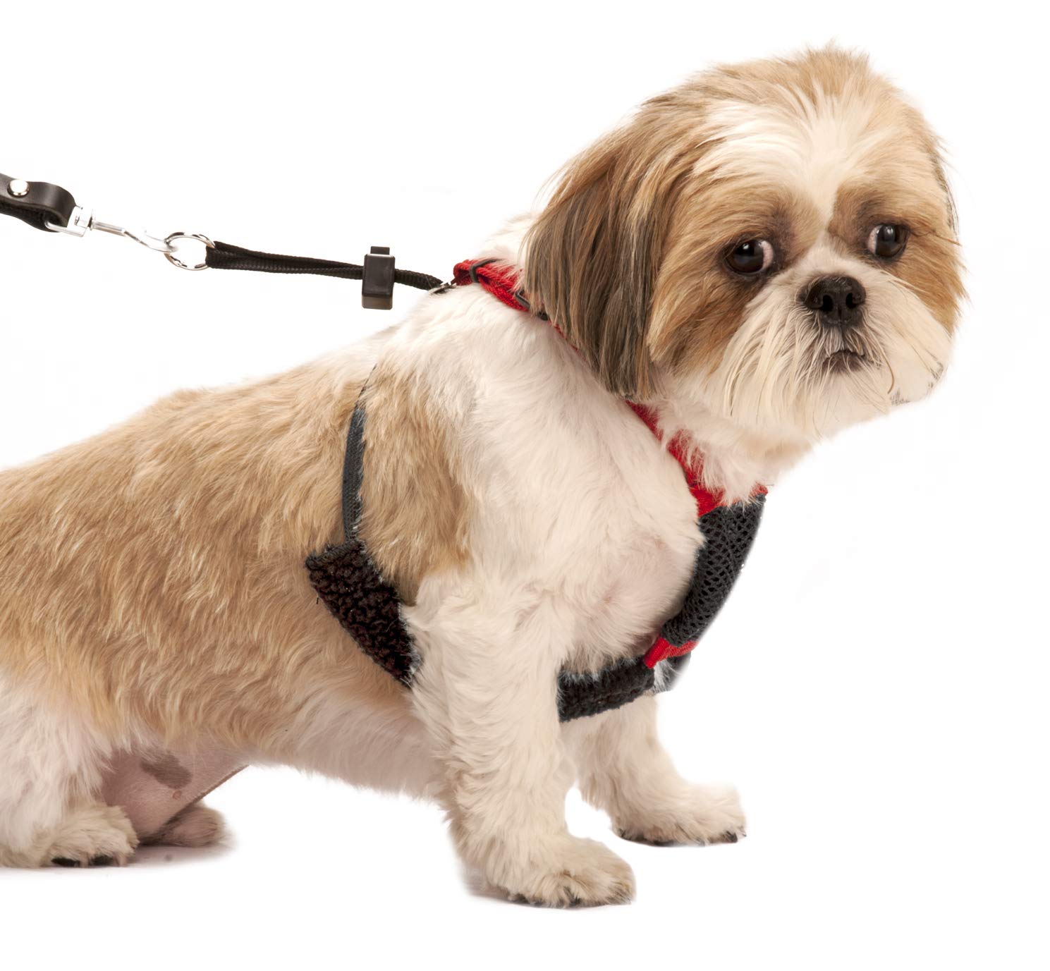 sporn dog harnesses