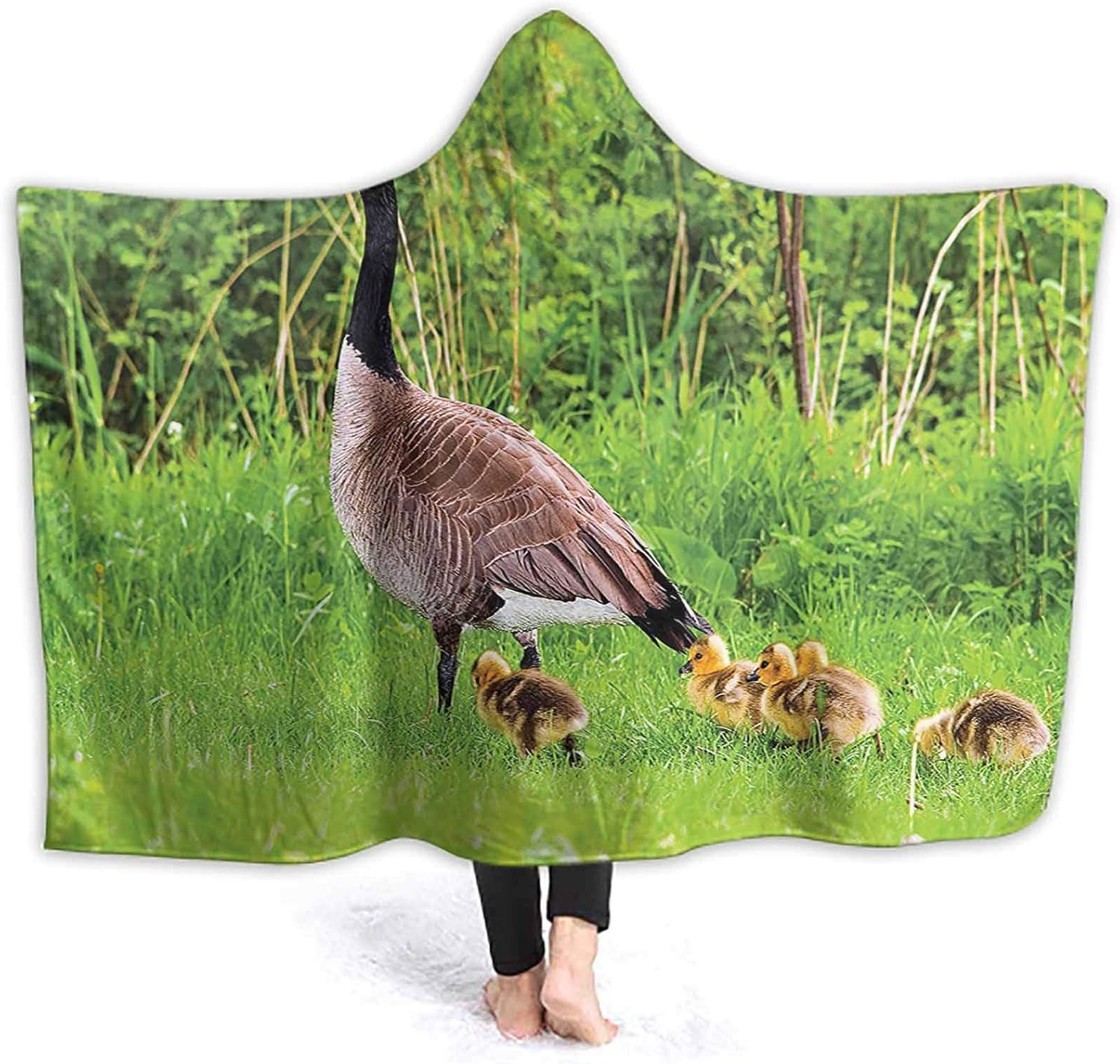 Picnic Blanket Canadian Goose Chicks SPR Summer Wild Nature