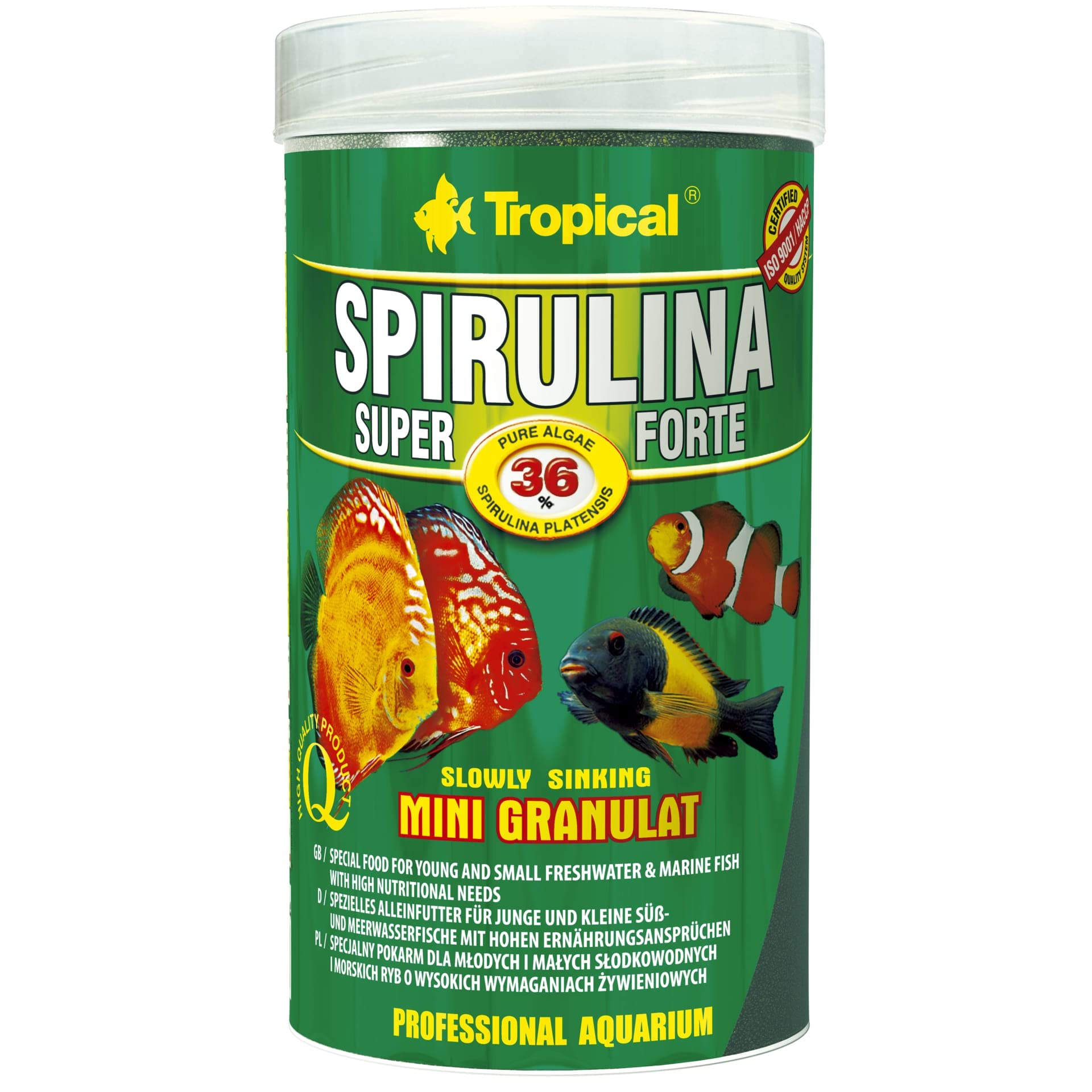 Super SPIRULINA Forte Mini GRANULAT 250ml / 140g - spirulina-Rich Mini granules for Algae-Eating Fish (Color, Growth & Immunity Boost)