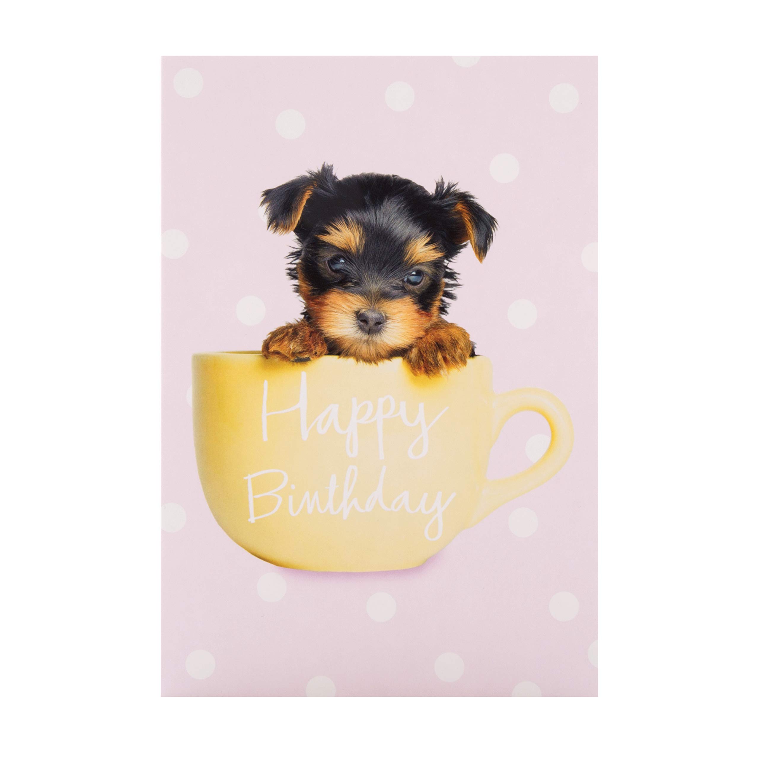 Hallmark Birthday Card - Cute Photographic Puppy in Cup Design