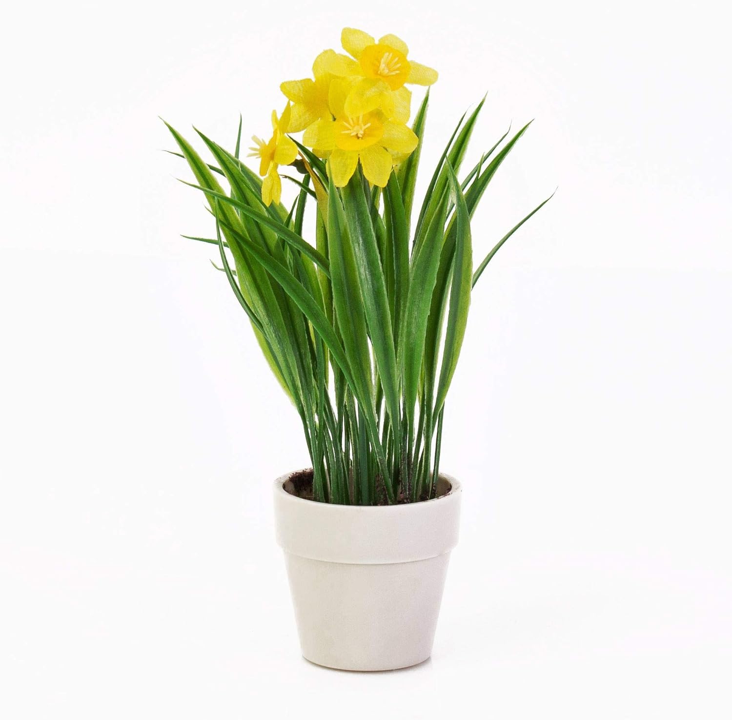 Fiori Gialli Piccoli Simili Ai Narcisi : 51 Idee Su Bulbi Nel 2021