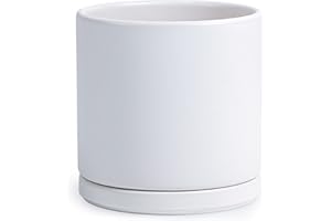 D'vine Dev 8 Inch Ceramic Planter Pot with Drainage Hole and Saucer, Indoor Cylinder Round Planter Pot, White, 94-O-D-1