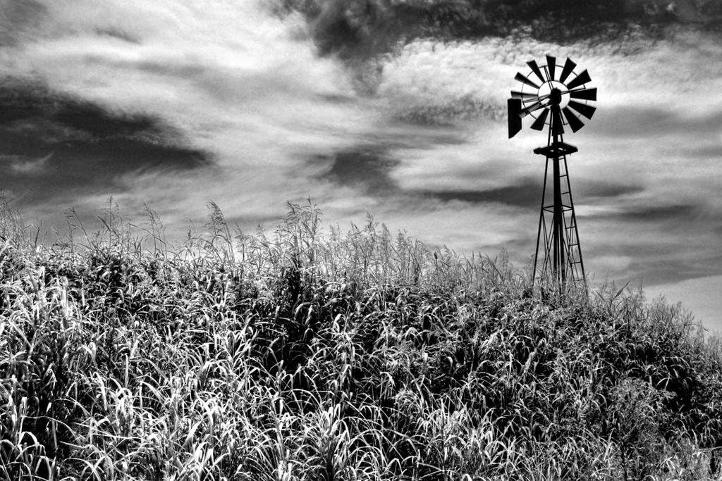 Timeless Windmill Texas Hill Country Rural Scene Photo Photograph Cool Wall Decor Art Print Poster 36x24