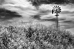 Timeless Windmill Texas Hill Country Rural Scene Photo Photograph Cool Wall Decor Art Print Poster 36x24